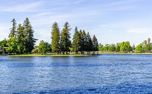 Yuba County California Park sunshine