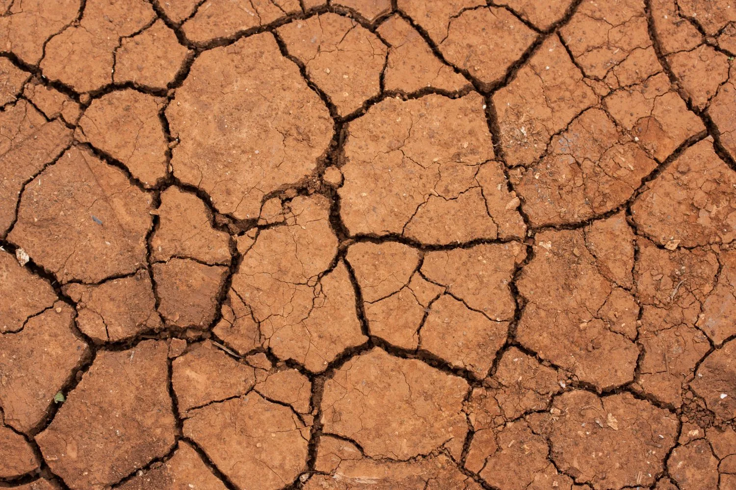 water drought in Fresno