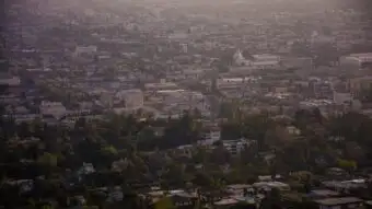 aerial photography of buildings and trees
