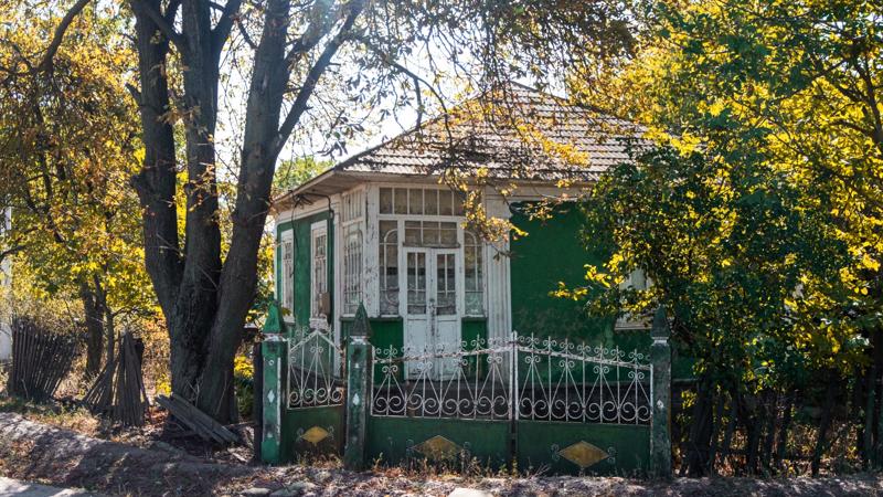 Abandoned green house with overgrown trees and peeling paint.