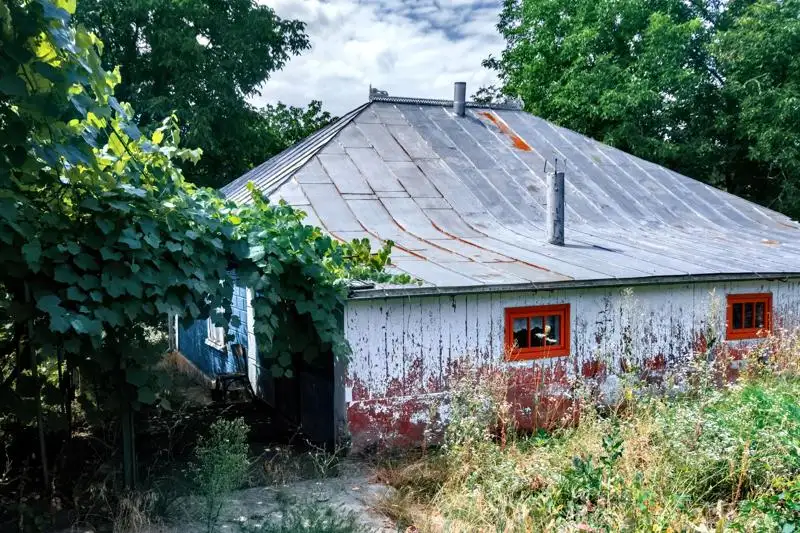Old rural house with wild grape vines and faded paint.