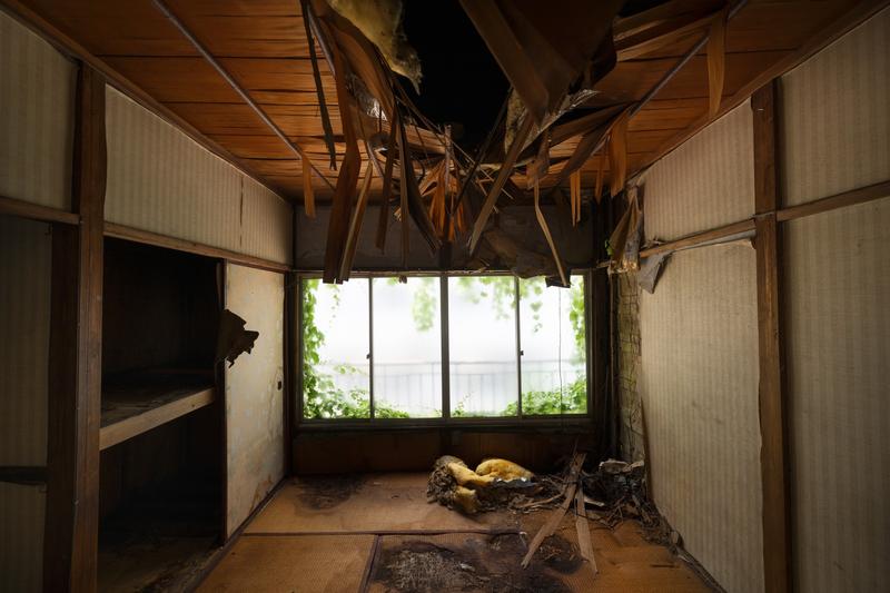 Interior ceiling collapse and decay showing what happens in condemned houses