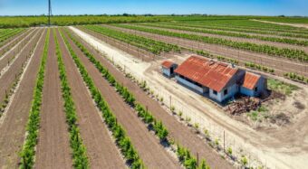 Agricultural land with aging barn and planted rows near Lemoore, California, highlighting Central Valley real estate conditions.