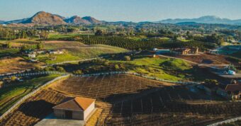 Temecula wine country vineyards with rolling hills showing Southern California wine region properties purchased by cash buyers.